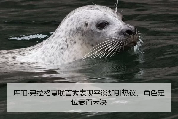库珀·弗拉格夏联首秀表现平淡却引热议，角色定位悬而未决
