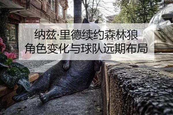 na-zi-li-de-xu-yue-sen-lin-lang-jue-se-bian-hua-yu-qiu-dui-yuan-qi-bu-ju-2-769.jpg